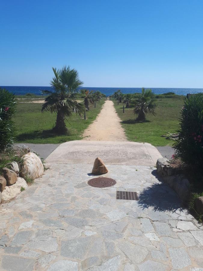 Villa Climatisee A Nuciola Prunete Entre Mer, Montagne Et Piscine Cervione Luaran gambar