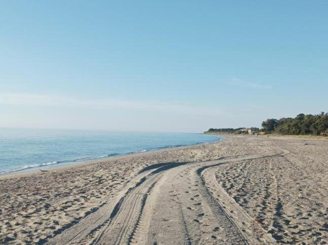 Villa Climatisee A Nuciola Prunete Entre Mer, Montagne Et Piscine Cervione Luaran gambar