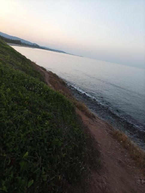 Villa Climatisee A Nuciola Prunete Entre Mer, Montagne Et Piscine Cervione Luaran gambar