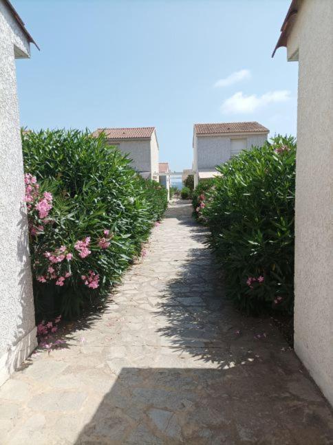 Villa Climatisee A Nuciola Prunete Entre Mer, Montagne Et Piscine Cervione Luaran gambar
