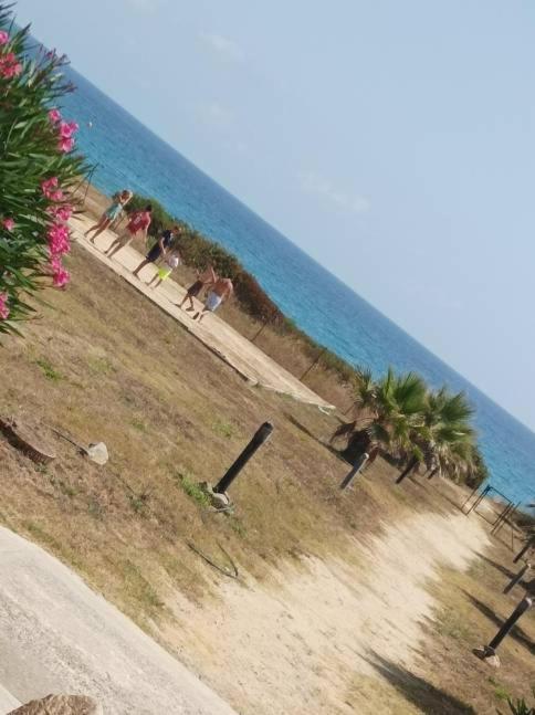 Villa Climatisee A Nuciola Prunete Entre Mer, Montagne Et Piscine Cervione Luaran gambar
