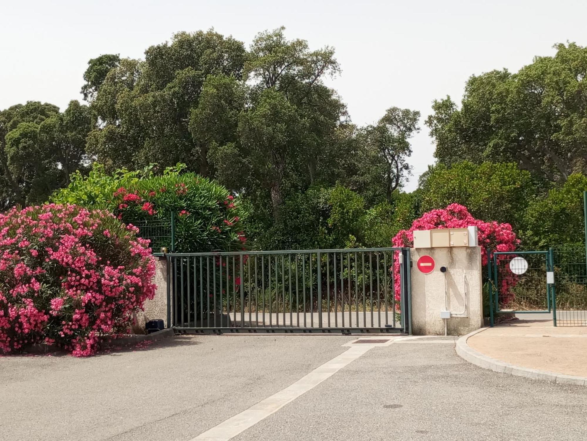 Villa Climatisee A Nuciola Prunete Entre Mer, Montagne Et Piscine Cervione Luaran gambar